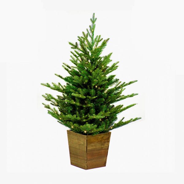 Ёлка (ель) новогодняя