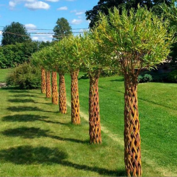 Плетеное дерево из ивы