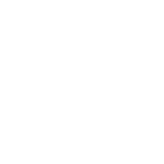 Цены на бонсай