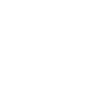 Ниваки из сосны для участка