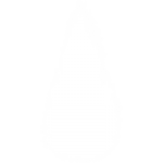 Туя западная купить в минске