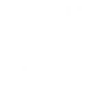 дерево пальма из ивы