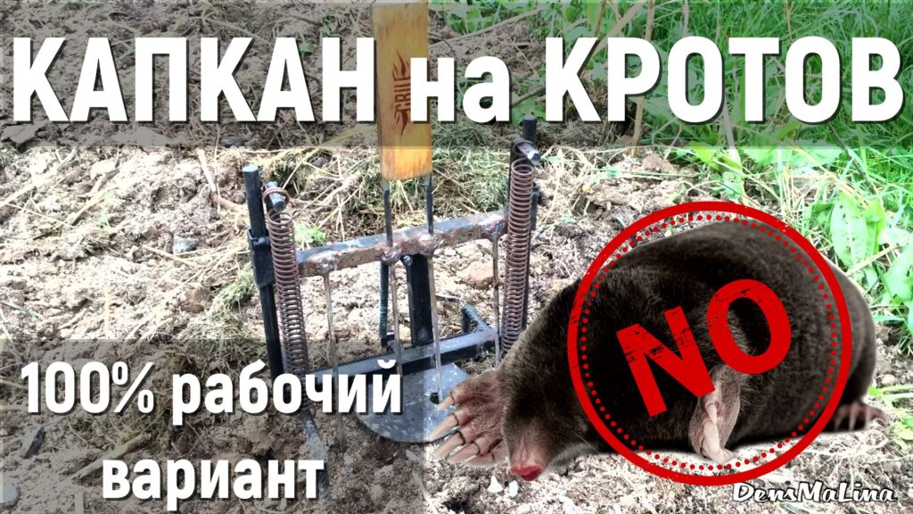 Капкан на кротов своими руками. 100% рабочий вариант.