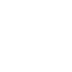 можжевельник купить в минске