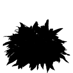 Кустарники