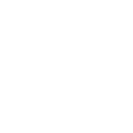 суккуленты декоративные кустарники - хвоя.бел